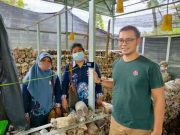 Dosen Teknik Elektro USM Serahkan Alat Sistem Monitoring Kumbung Jamur