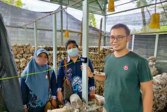 Dosen Teknik Elektro USM Serahkan Alat Sistem Monitoring Kumbung Jamur