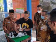 Selain Wahana Omah Terwelu, TKL Kini Dilengkapi Botani Park, Playground Park, Culinari Park dan Camper Park