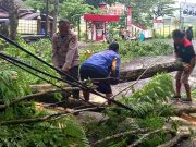Wonogiri-Yogyakarta Terhalang Pohon Tumbang, Ini Respon Cepat Polisi