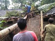 Breees, Rumah di Watuagung Wonogiri Rusak Kerobohan Pohon