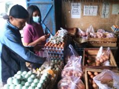 Harga Telor di Wonogiri Anjlok, Rp 19.500 Per Kilogram