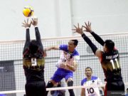Pertamina Bayangi Samator di Puncak Klasemen Proliga