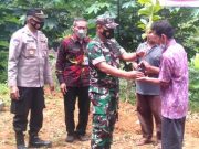 Alpukat dan Kopi Dikembangkan di Perbukitan Brenggolo Wonogiri