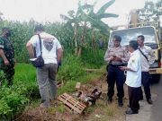 Tragis, Satu Tewas dan Seorang Luka Tersengat Stroom Listrik di Jatiroto Wonogiri