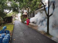 Kasus DBD di Kudus Melonjak Tinggi, Masyarakat Diimbau Waspada