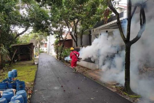 Kasus DBD di Kudus Melonjak Tinggi, Masyarakat Diimbau Waspada