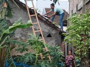 Puting Beliung Sapu Kudus, Puluhan Rumah dan Gedung Madrasah Rusak