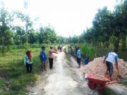 LMDH Langen Jati Manfaatkan Dana ‘Sharing’ Perhutani untuk Perbaikan Jalan