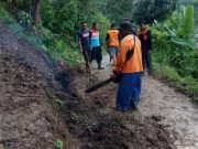 Hujan Deras di Kudus Akibatkan Longsor dan Pohon Tumbang