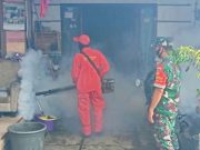 Tim Gabungan Lakukan Pengasapan Cegah Demam Berdarah