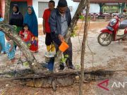 Buaya yang Menggigit Ketua DPRD Bangka Ditangkap