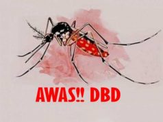 Nyamuk DBD Ngamuk di Jepara, 2 Anak Meninggal Dunia