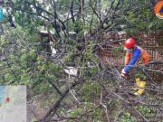 Jepara Hujan Lebat dan Angin Kencang Awas Tanah Longsor dan Banjir