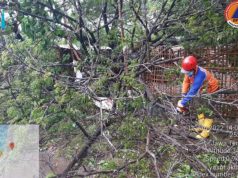Jepara Hujan Lebat dan Angin Kencang Awas Tanah Longsor dan Banjir