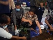 Prospek Tanaman Herbal di Kabupaten Magelang Cukup Menjanjikan sekolah tani