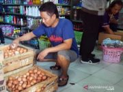 Harga Telur dan Ayam di Solo Kembali Stabil