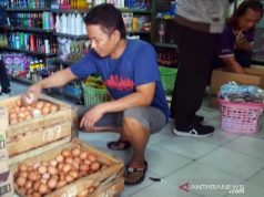 Harga Telur dan Ayam di Solo Kembali Stabil