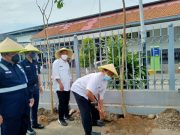 KAI Daop 5 Hijaukan Stasiun Kebumen dengan Tabebuya dan Ketapang