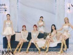 Apink Rayakan Sepuluh Tahun Debut Dengan Rilis Album Spesial “Horn”