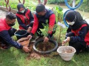 Tim KKN Universitas PGRI Ajak Warga Peduli Lingkungan, Tanam 600 Pohon