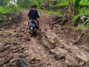 Warga Minta Akses Jalan Desa Padasari Kabupaten Tegal Diperbaiki