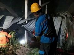 Di Wonosobo 4.500 Ekor Ayam Mati Terbakar, Ini Penyebabnya?