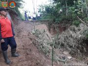 Tanah di Karangtengah Sawangan Leksono Wonosobo Bergerak, Begini Kondisinya
