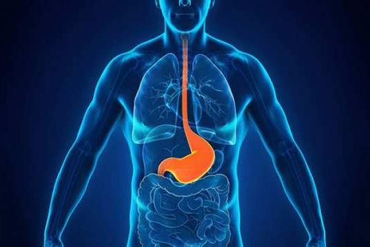 Tips Menurunkan Asam Lambung Tanpa Obat