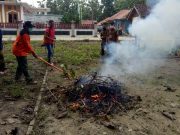KPH Randublatung dan CKD Perhutani Laksanakan Pelatihan Keterampilan Pengendalian Kebakaran Hutan