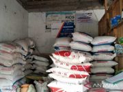 DPN APTRI Tolak Pencabutan Subsidi Pupuk ZA