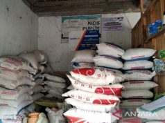 Dispertan Kudus Minta Petani Beli Pupuk Nonsubsidi Jika Kehabisan Pupuk Subsidi