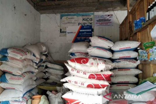 Dispertan Kudus Minta Petani Beli Pupuk Nonsubsidi Jika Kehabisan Pupuk Subsidi