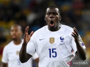 Bek West Ham Zouma Diseret ke Pengadilan karena Aniaya Kucing