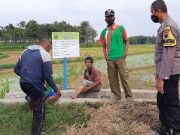 Tentara dan Polisi di Blora Blusukan Sawah, Waspadai Curanmor Milik Petani