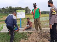 Tentara dan Polisi di Blora Blusukan Sawah, Waspadai Curanmor Milik Petani
