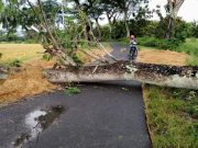 Bencana Angin Kencang dan Longsor Melanda Dua Kecamatan di Wonogiri