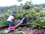 Bencana Angin Kencang Melanda Dua Kecamatan di Wonogiri