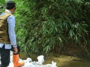 Hartopo Instruksikan Tanggul Rawan Segera Diperbaiki