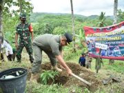 HUT Satpol PP, Bupati dan Wakil Bupati Tanam Buah di Kalirancang