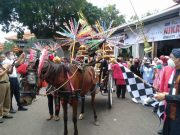 Kirab Pengantin Bupati Jepara Mantu Libatkan 78 Kereta Hias