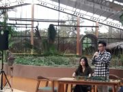 Openaire Tawarkan Konsep Lengkap Resto Bar Market di Satu Lokasi
