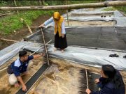 Mahasiswa Unimma Bimbing Budidaya Lele Yang Cenderung Melemah