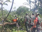 Danramil Mertoyudan Pimpin Gotong Royong Pasca Angin Puting Beliung