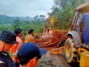 Rumpun Bambu Berhasil Disingkirkan, Jalan Menuju Kalibeber Sudah Bisa Dilewati