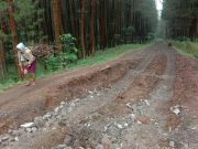 Pembangunan Ruas Jalan Ropoh-Banyumudal Butuh Dana Rp 5 Miliar