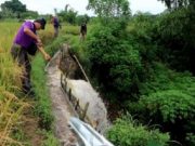 Irigasi Jebol, Mahasiswa KPM Unsiq Bangun Talang Air di Temanggung