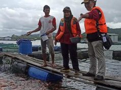 KKP Dukung Budi Daya Ikan Melalui Pemantauan Penyakit di Kabupaten Wonosobo