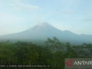 Gunung Semeru Alami Letusan Sebanyak 24 Kali