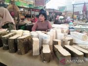 Harga Kedelai Masih Mahal, Pengrajin Tempe di Kudus Kurangi Produksi